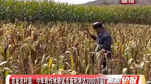 農(nóng)業(yè)農(nóng)村部推進(jìn)3000萬畝輪作休耕試點(diǎn)，助力農(nóng)業(yè)面源與重金屬污染治理