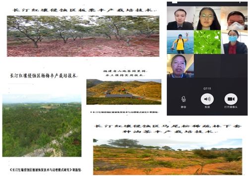 抗疫情助三農(nóng) 福建農(nóng)林大學(xué)助力疫情防控期間農(nóng)業(yè)生產(chǎn)