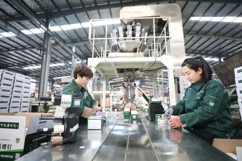 強(qiáng)勢(shì)霸屏 中央主流媒體聚焦邢臺(tái)工程與技術(shù)創(chuàng)新